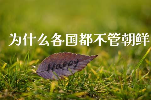 为什么各国都不管朝鲜_https://cj004.lansai.wang_期货开户_第1张