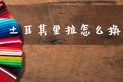 土耳其里拉怎么换_https://cj004.lansai.wang_金融监管_第1张
