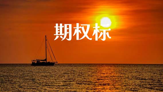 期权标_https://cj004.lansai.wang_期货开户_第1张