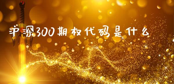 沪深300期权代码是什么_https://cj004.lansai.wang_金融监管_第1张