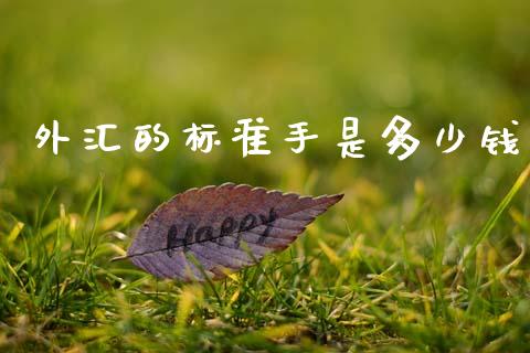 外汇的标准手是多少钱_https://cj004.lansai.wang_期货开户_第1张