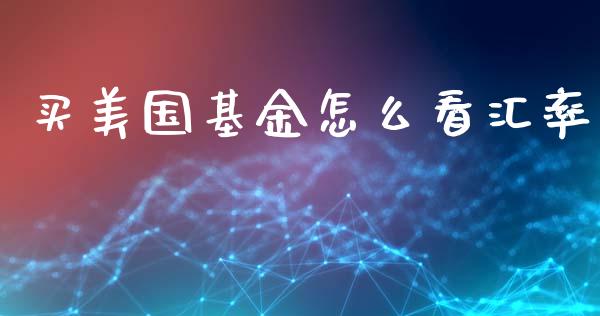买美国基金怎么看汇率_https://cj004.lansai.wang_债券资讯_第1张