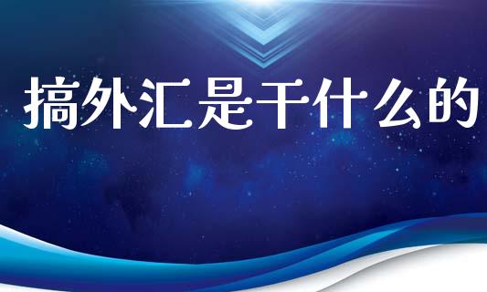 搞外汇是干什么的_https://cj004.lansai.wang_财经新闻_第1张