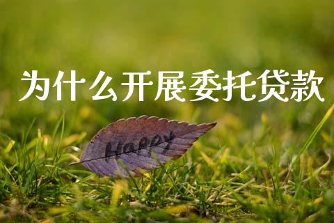 为什么开展委托贷款_https://cj004.lansai.wang_期货开户_第1张
