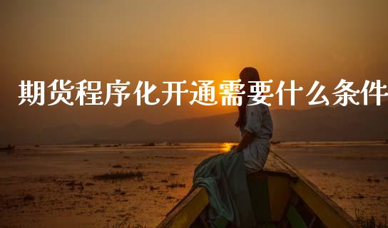 期货程序化开通需要什么条件_https://cj004.lansai.wang_金融监管_第1张