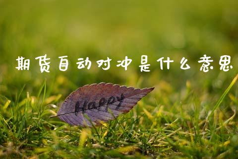 期货自动对冲是什么意思_https://cj004.lansai.wang_外汇交易_第1张