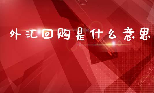 外汇回购是什么意思_https://cj004.lansai.wang_期货开户_第1张