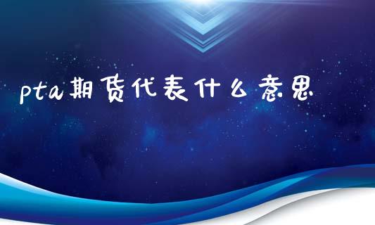 pta期货代表什么意思_https://cj004.lansai.wang_金融监管_第1张