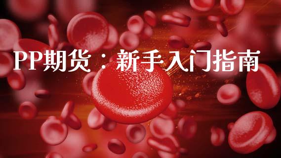 PP期货：新手入门指南_https://cj004.lansai.wang_外汇交易_第1张