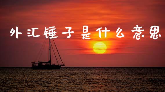 外汇锤子是什么意思_https://cj004.lansai.wang_全球市场_第1张