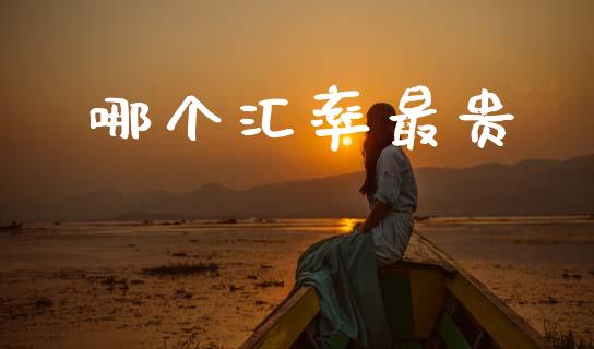 哪个汇率最贵_https://cj004.lansai.wang_外汇交易_第1张