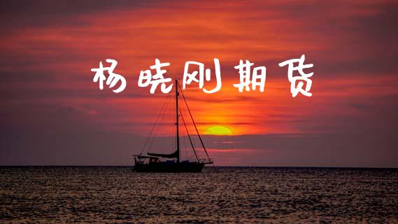 杨晓刚期货_https://cj004.lansai.wang_财经新闻_第1张