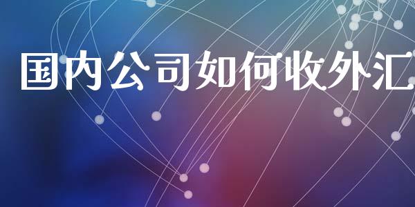 国内公司如何收外汇_https://cj004.lansai.wang_外汇交易_第1张