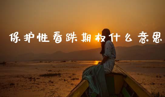保护性看跌期权什么意思_https://cj004.lansai.wang_全球市场_第1张