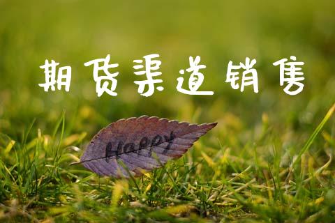 期货渠道销售_https://cj004.lansai.wang_金融监管_第1张