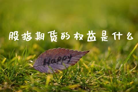 股指期货的权益是什么_https://cj004.lansai.wang_全球市场_第1张