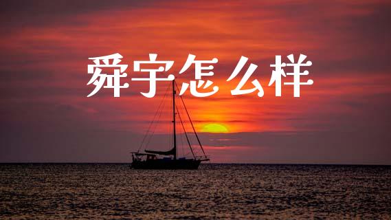 舜宇怎么样_https://cj004.lansai.wang_全球市场_第1张
