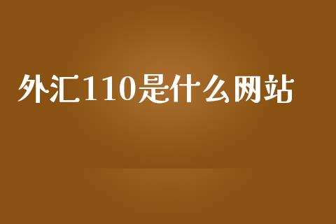 外汇110是什么网站_https://cj004.lansai.wang_期货开户_第1张