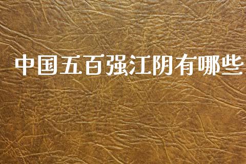 中国五百强江阴有哪些_https://cj004.lansai.wang_外汇交易_第1张
