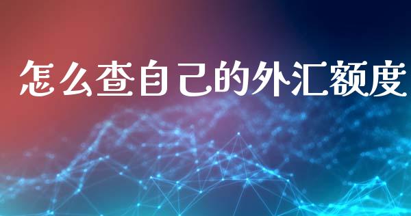 怎么查自己的外汇额度_https://cj004.lansai.wang_期货开户_第1张