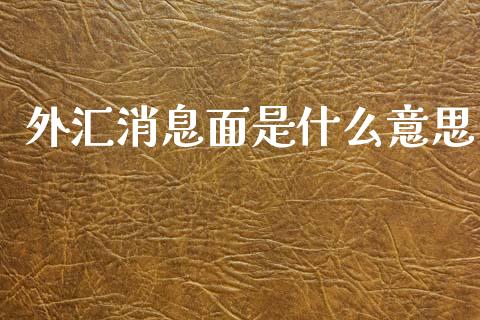 外汇消息面是什么意思_https://cj004.lansai.wang_财经新闻_第1张