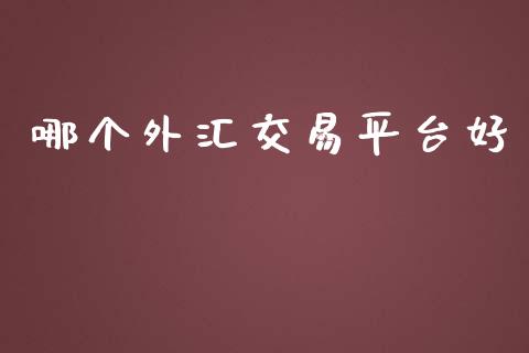 哪个外汇交易平台好_https://cj004.lansai.wang_期货开户_第1张