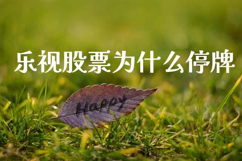 乐视股票为什么停牌_https://cj004.lansai.wang_金融监管_第1张