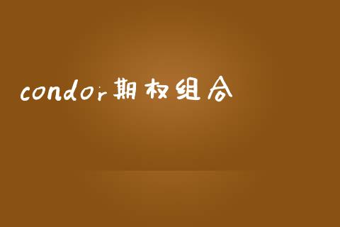 condor期权组合_https://cj004.lansai.wang_债券资讯_第1张