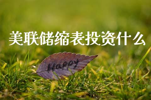 美联储缩表投资什么_https://cj004.lansai.wang_外汇交易_第1张