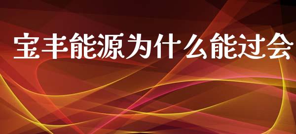 宝丰能源为什么能过会_https://cj004.lansai.wang_财经新闻_第1张