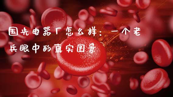 国光电器厂怎么样：一个老兵眼中的真实图景_https://cj004.lansai.wang_财经新闻_第1张