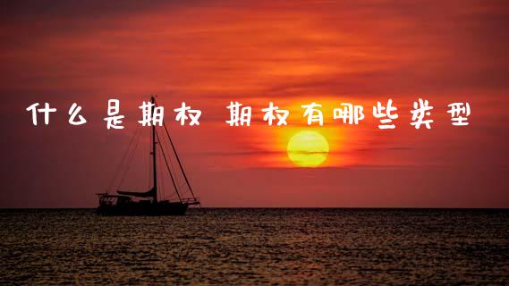 什么是期权 期权有哪些类型_https://cj004.lansai.wang_金融监管_第1张