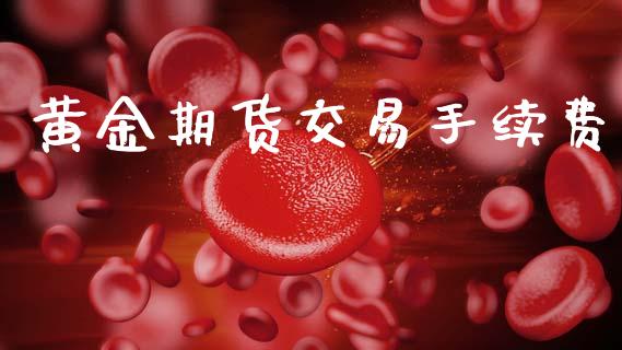 黄金期货交易手续费_https://cj004.lansai.wang_金融监管_第1张
