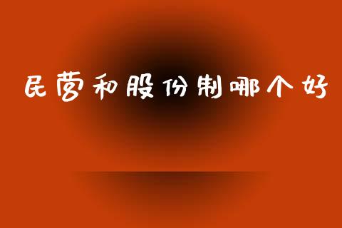 民营和股份制哪个好_https://cj004.lansai.wang_外汇交易_第1张