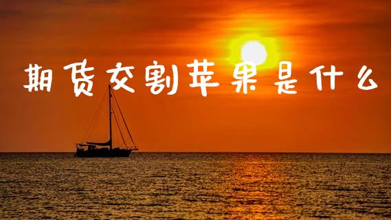 期货交割苹果是什么_全球市场_第1张_期货开户_金融监管_外汇交易_债券资讯_全球市场_财经新闻 期货交割苹果是什么_https://cj004.lansai.wang_全球市场_第1张