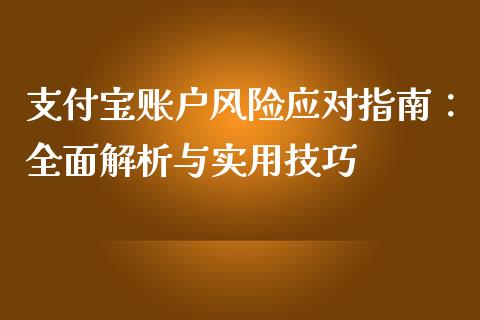 支付宝账户风险应对指南：全面解析与实用技巧_https://cj004.lansai.wang_债券资讯_第1张