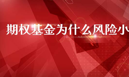 期权基金为什么风险小_https://cj004.lansai.wang_期货开户_第1张