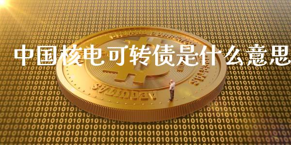 中国核电可转债是什么意思_https://cj004.lansai.wang_金融监管_第1张
