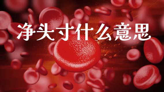 净头寸什么意思_https://cj004.lansai.wang_债券资讯_第1张