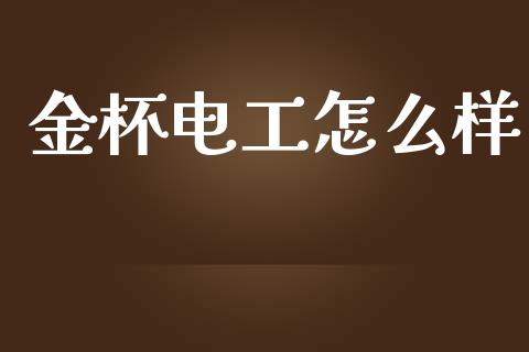 金杯电工怎么样_https://cj004.lansai.wang_债券资讯_第1张