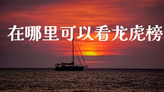 在哪里可以看龙虎榜_https://cj004.lansai.wang_债券资讯_第1张