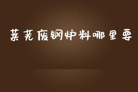 莱芜废钢炉料哪里要_https://cj004.lansai.wang_债券资讯_第1张