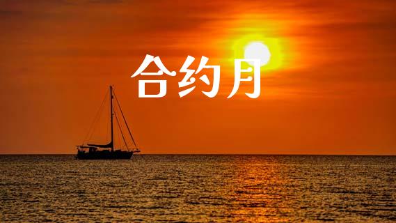 合约月_https://cj004.lansai.wang_期货开户_第1张
