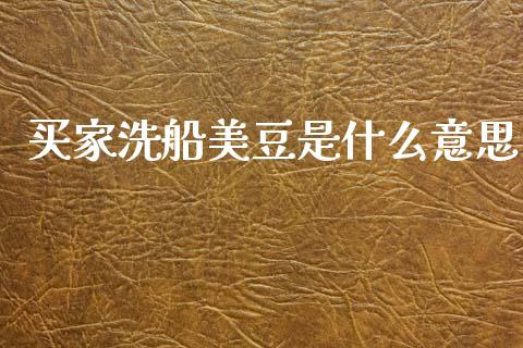 买家洗船美豆是什么意思_https://cj004.lansai.wang_金融监管_第1张