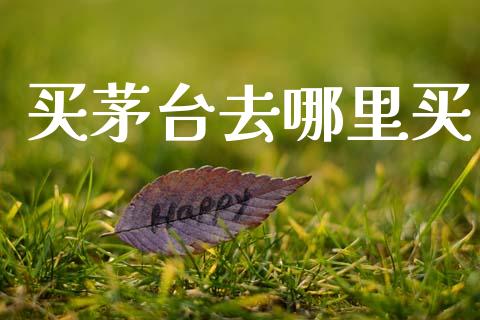 买茅台去哪里买_https://cj004.lansai.wang_金融监管_第1张