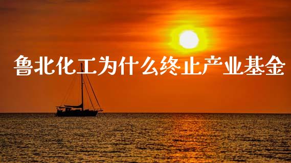 鲁北化工为什么终止产业基金_https://cj004.lansai.wang_外汇交易_第1张