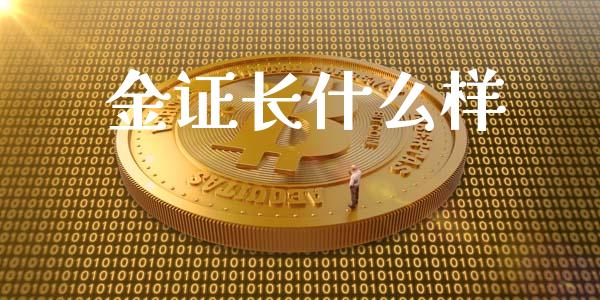 金证长什么样_https://cj004.lansai.wang_外汇交易_第1张