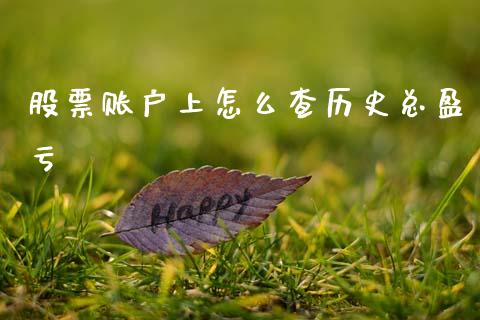 股票账户上怎么查历史总盈亏_https://cj004.lansai.wang_财经新闻_第1张