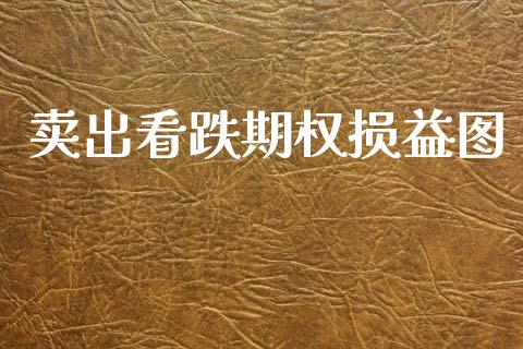 卖出看跌期权损益图_https://cj004.lansai.wang_期货开户_第1张