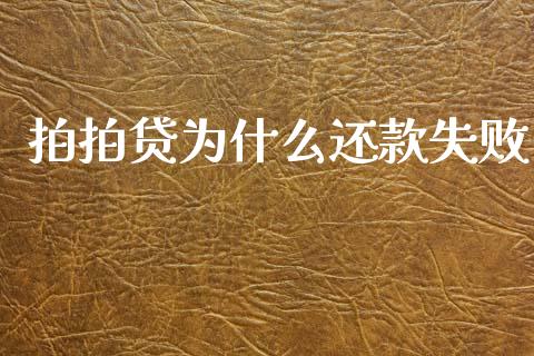 拍拍贷为什么还款失败_https://cj004.lansai.wang_外汇交易_第1张